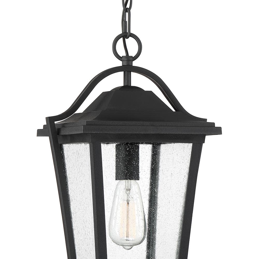 Darius Black Glass Outdoor Hanging Lantern