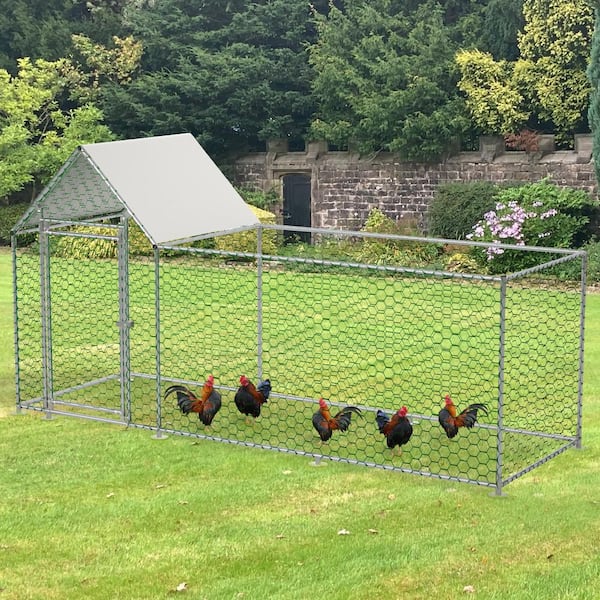 Huluwat 59.6 in. H x 119.1 in. L Green Metal Wire Mesh Fence Netting with Cover for Aviary, Chicken Coop, Rabbit Hutch, Garden