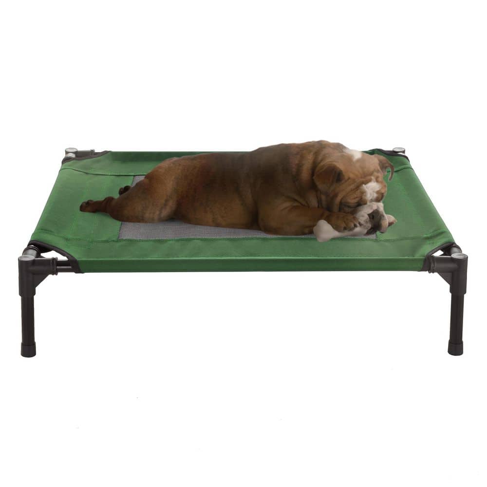 Medium Green Elevated Waterproof Outdoor Pet Bed
