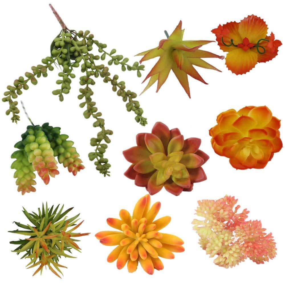 13 pcs Green Red Artificial Succulent Picks Indoor Outdoor Assorted Faux Plant Decorative Arrangement price history on PriceWatchPro