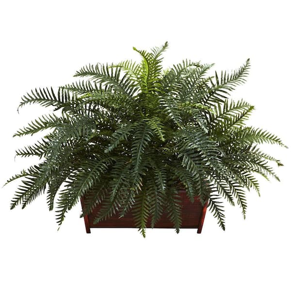 Nearly Natural River Fern with Wood Planter