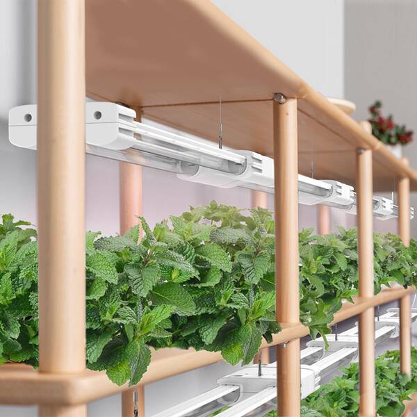 HLG-600H-48AB 植物育成ライト LED Grow Light② DYMOND 2 ft. LED Grow Light Full Spectrum 5000K Daylight and 660nm