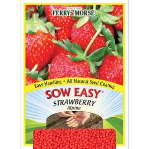 Sow Easy Strawberry Alpine Fruit Seeds