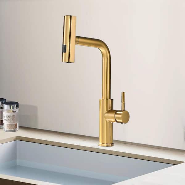 Modern Single Handle Single Hole Pull Out Sprayer Kitchen Faucet Stainless Steel in Brushed Gold