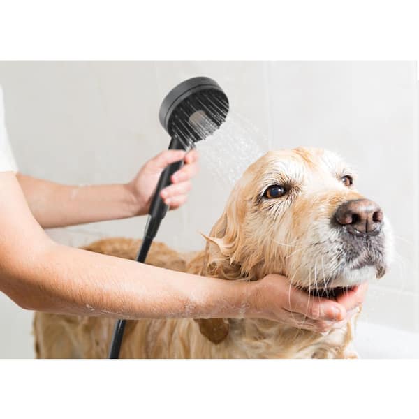 Dog shower outlet attachment