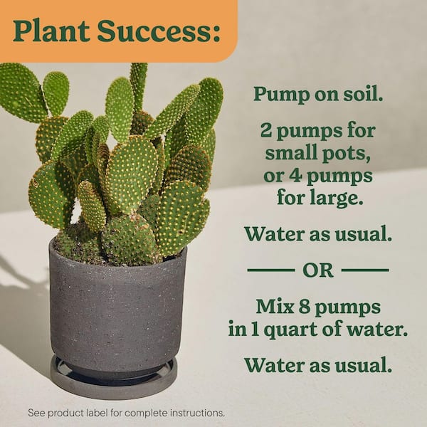 Miracle-Gro Indoor Plant Food for Cactus and Succulent 8 oz. Liquid Plant Food for Indoor Succulents and Cactus (6-Pack)