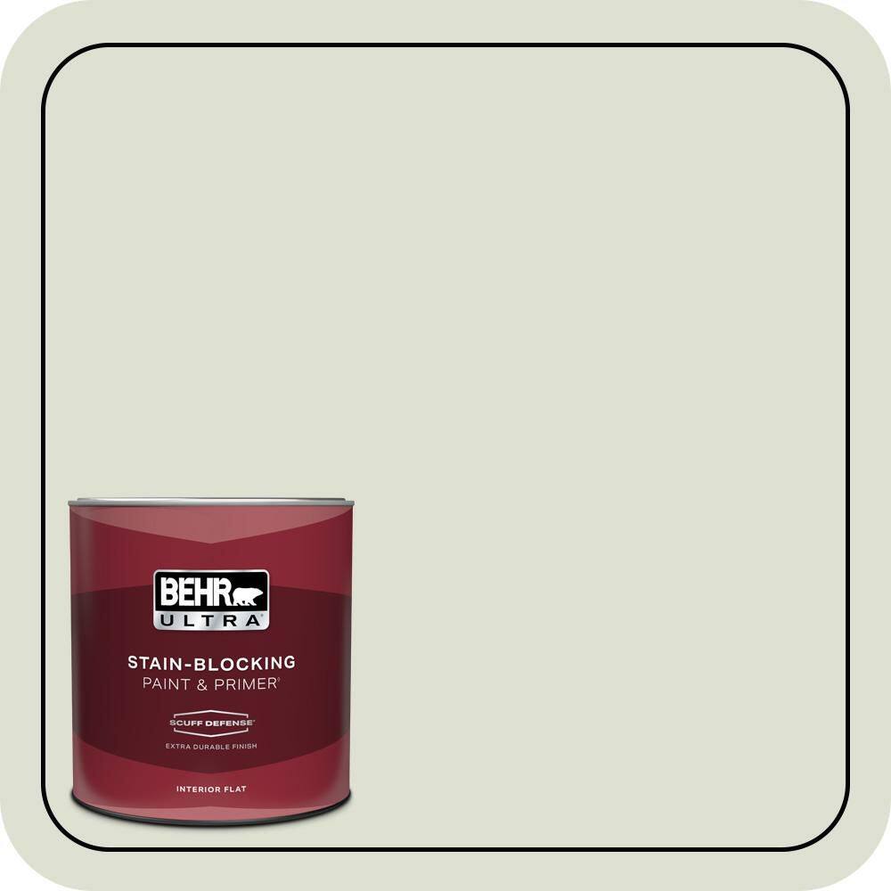 1 qt. #PPU10-12 Whitened Sage Extra Durable Flat Interior Paint & Primer price history on PriceWatchPro