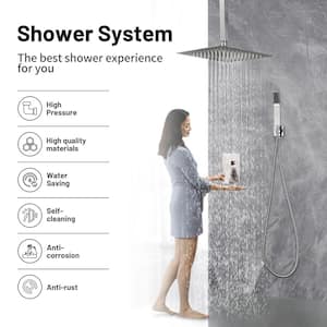 Rain Single Handle 1-Spray w/Valve 1.8 GPM 12 in. Ceiling Mount Dual Shower Heads Hand Shower Faucet in Brushed Nickel