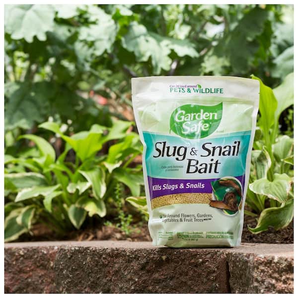 Eco-friendly Slug Snail Cage Catcher Trap Pest Control Garden Vegetable 2 Styles 
