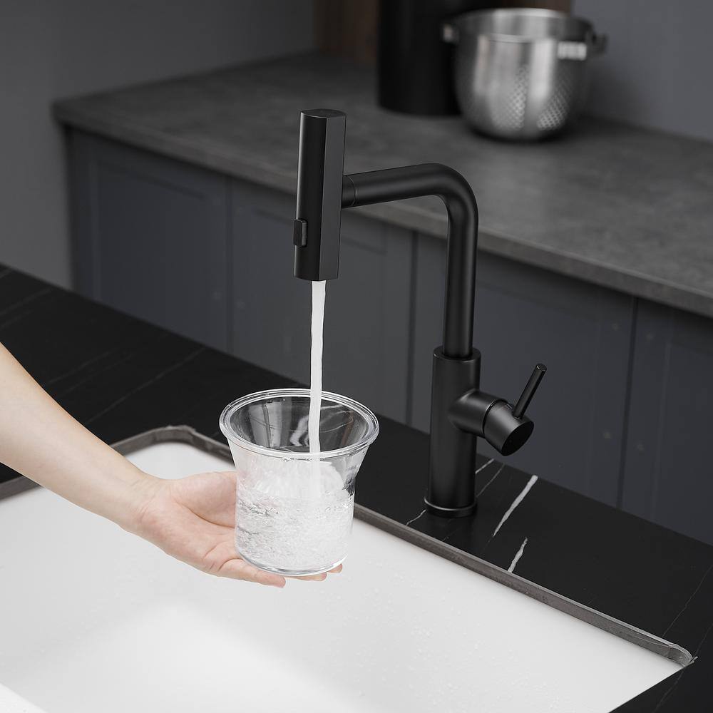 Matte Black Stainless Steel Pull Down Kitchen Faucet