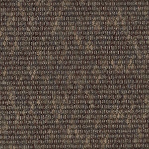Social Network IV - Color Cement Indoor Loop Brown Carpet