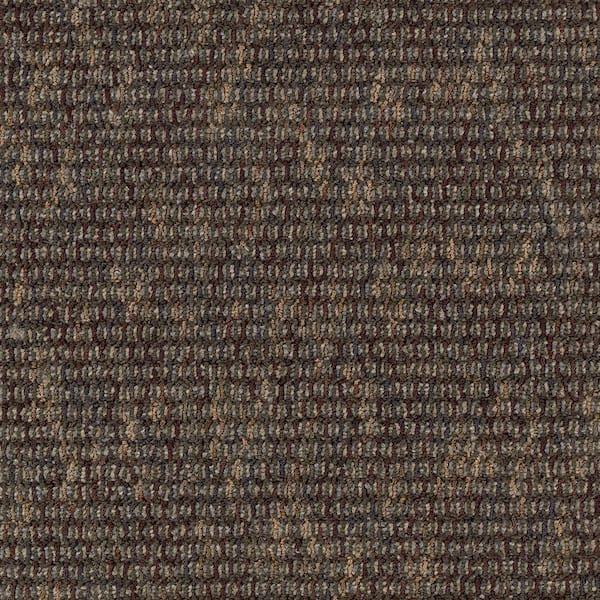 TrafficMaster Social Network IV  - Cement - Brown 21 oz. Nylon Loop Installed Carpet