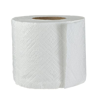 Plush 2-Ply Toilet Paper Rolls (Pack of 80)