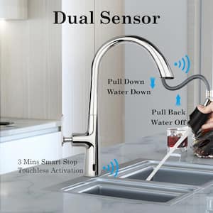 Single Handle Pull Down Sprayer Kitchen Faucet with Bubble Water, Hidden Pull-out Head in Chrome