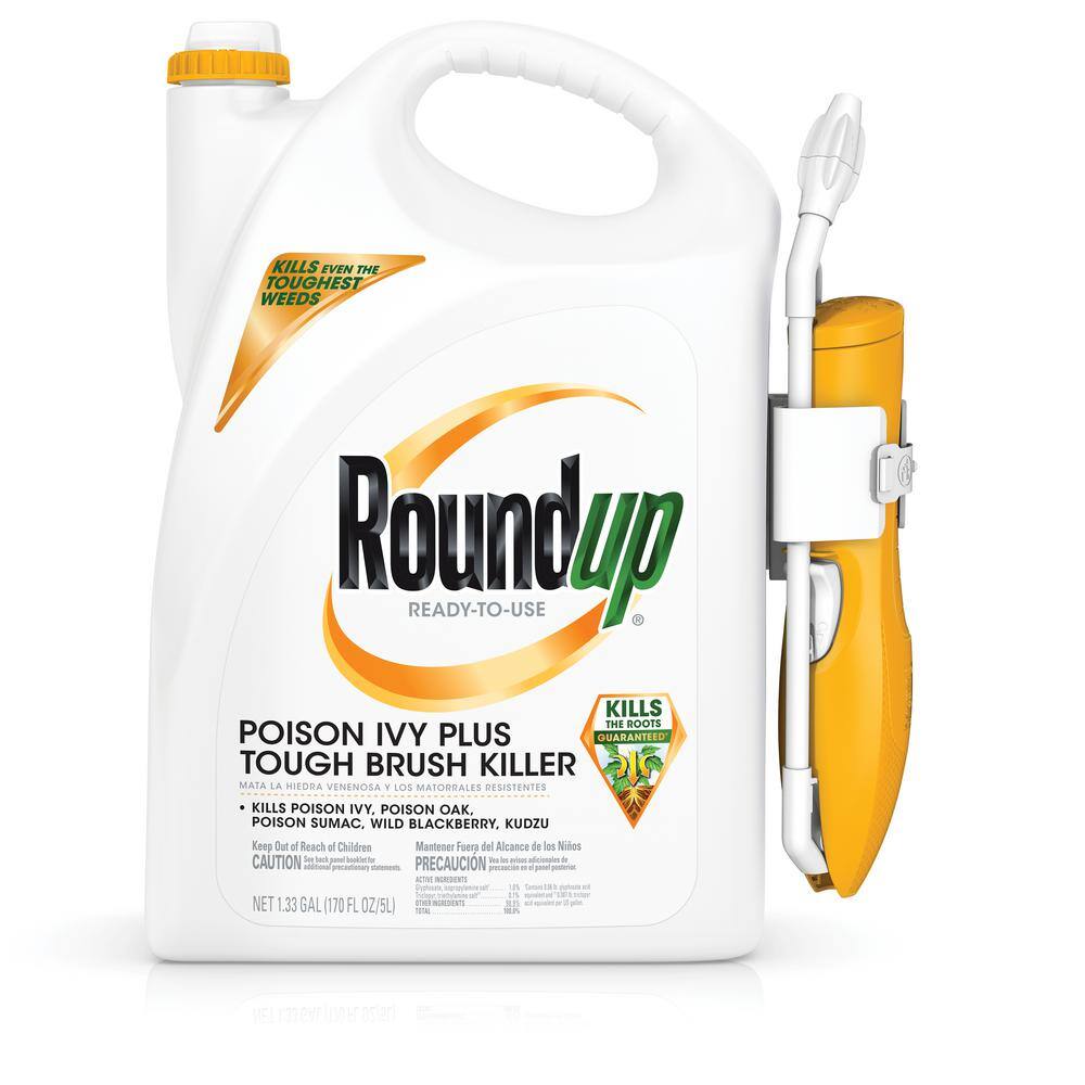 Roundup Poison Ivy And Tough Brush, Will Roundup Kill Blackberry Bushes