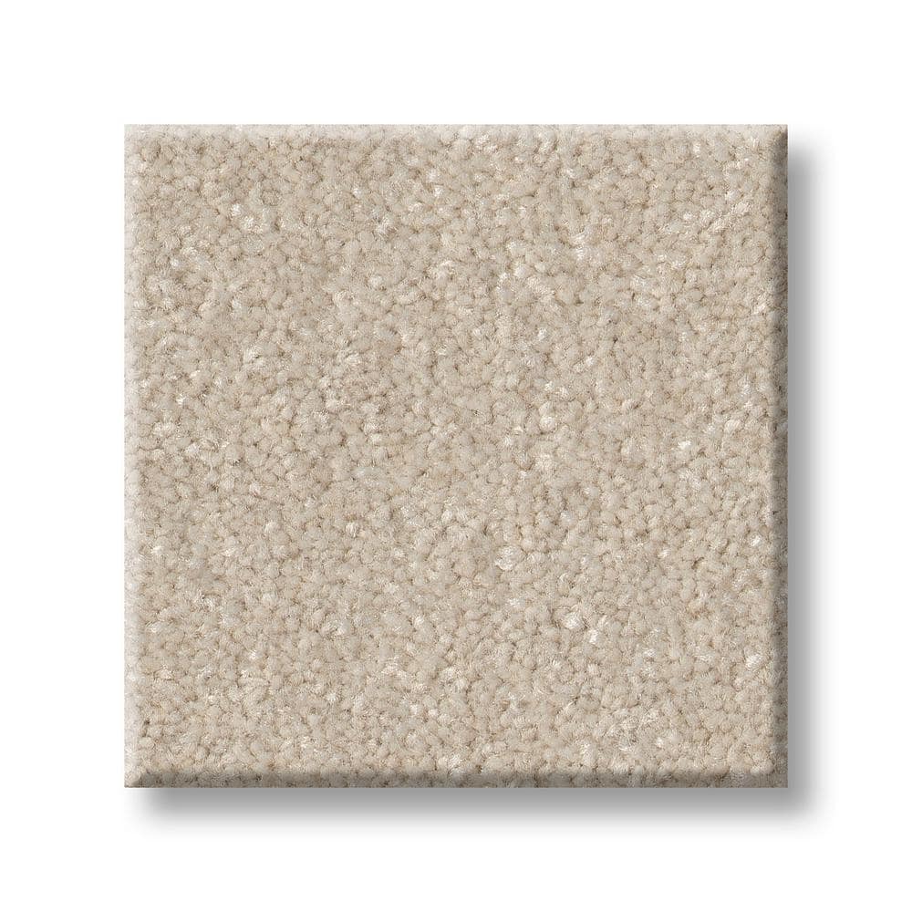 8 in. x 8 in. Texture Carpet Sample - Blakely I -Color Enoki price history on PriceWatchPro