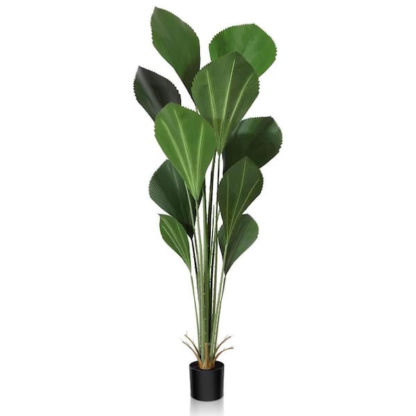 Cesicia 6 ft. Artificial Sumatra Palm Tree in Pot for Home Office or Porch Decor