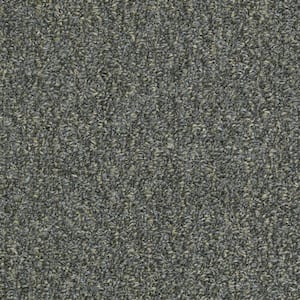 Isla Vista - Fieldstone - Gray 14 oz. SD Olefin Berber Installed Carpet