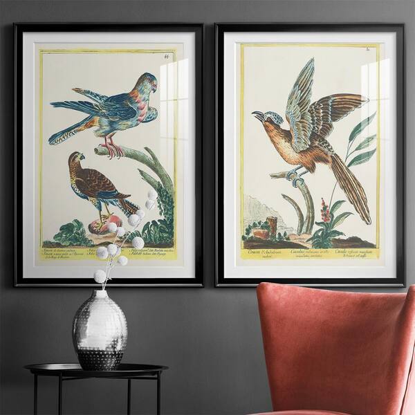 Wexford Home Pastel Birds V by Wexford Homes 2-Pieces Framed