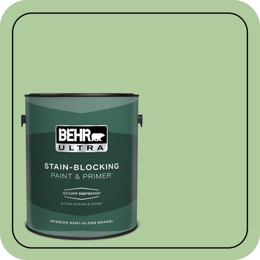 1 gal. #440D-4 Desert Cactus Extra Durable Semi-Gloss Enamel Interior Paint & Primer price history on PriceWatchPro