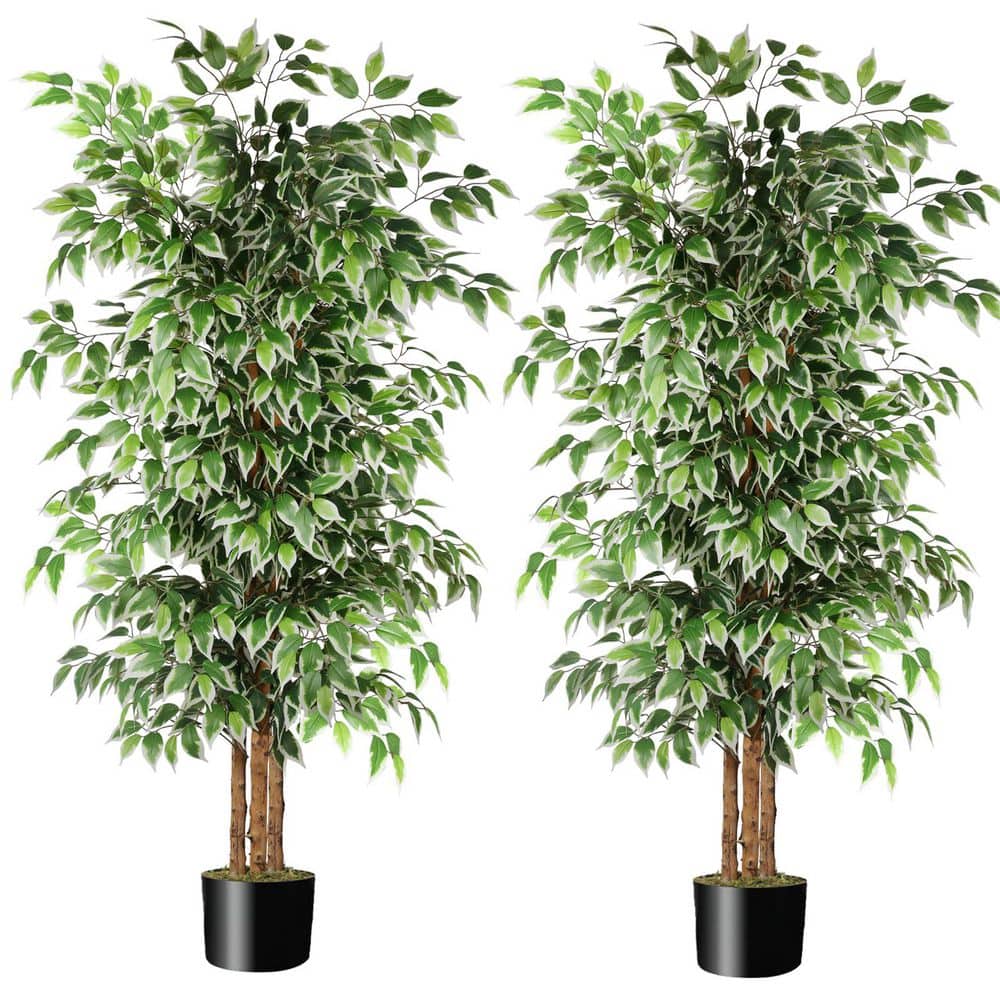 Akamun Tree 2 Pcs 6ft Artificial Ficus Trees with Natural Trunks & Dried Moss ...