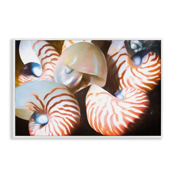 Stupell Industries Nautilus Shells Cluster by Graffitee Studios White Framed Coastal Giclee Art Print 12 in. x 18 in.
