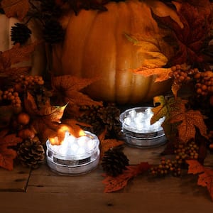 White LED Lights with Remote (2-Pack)