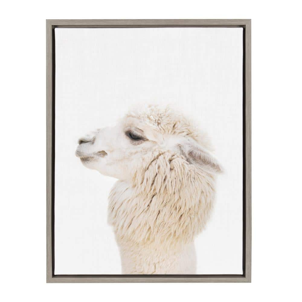 Kate and Laurel Sylvie Animal Studio Alpaca Profile by Amy Peterson  Framed Canvas Wall Art 213239 - The Home Depot