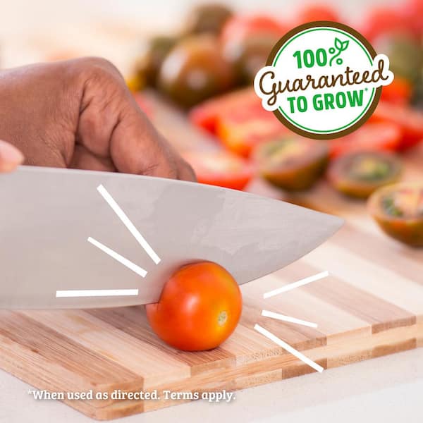 Back to the Roots Windowsill Organic Cherry Tomato Grow Kit 25100