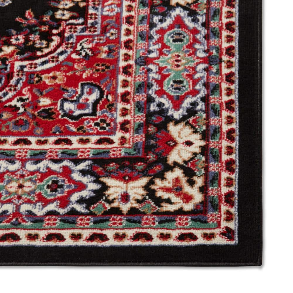 Black and Red Traditional Medallion Area Rug, 9'2" x 12'5"