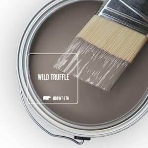 Home Decorators Collection HDC-NT-27B Wild Truffle Paint