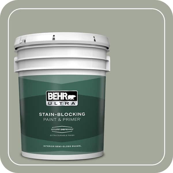 BEHR ULTRA 5 gal. Home Decorators Collection #HDC-AC-18 Garden Promenade Extra Durable Semi-Gloss Enamel Interior Paint & Primer