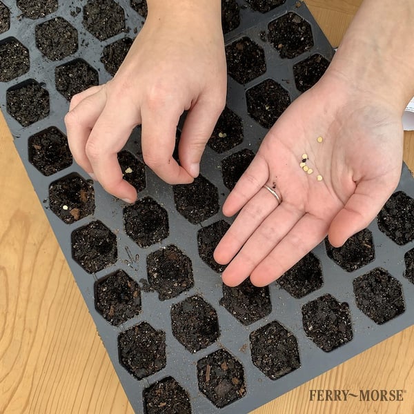 Ferry-Morse Pro-Hex Seed Starting Tray kit PHEX-7H - The Home Depot
