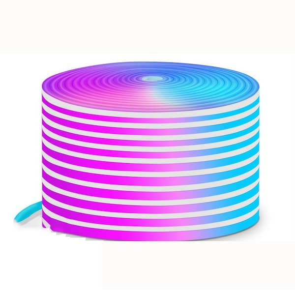 50 ft. Indoor/Outdoor Plug-In LED Neon Rope Light Kit