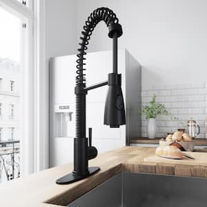 Brant Single Handle Pull-Down Sprayer Kitchen Faucet Set with Deck Plate in Matte Black