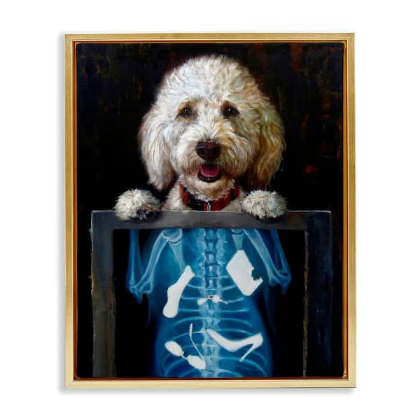 Stupell Industries Funny Dog X-Ray Snacks by Lucia Heffernan 1-Piece Gold Floater Frame Animal Graphic Art Print 17 in. x 21 in.