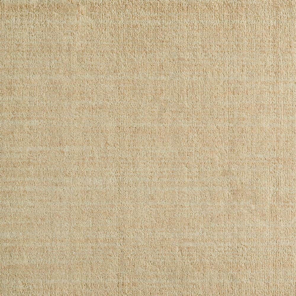 6 in. x 6 in. Texture Carpet Sample - Suspicion - Linen price history on PriceWatchPro