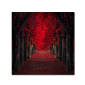 Endless Passion by Ildiko Neer Floater Frame Nature Wall Art 24 in. x 24 in.