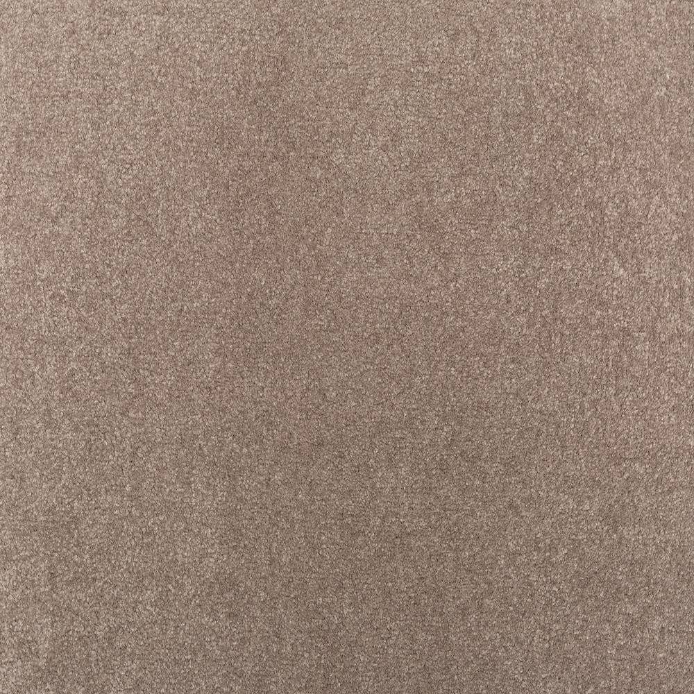 8 in. x 8 in. Texture Carpet Sample - Waking Up I - Color Harmony price history on PriceWatchPro