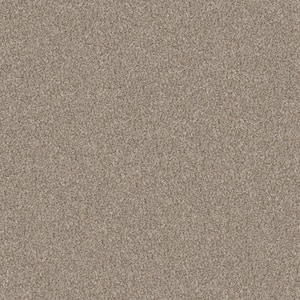 River Rocks II - Pale Ecru - Beige 56.2 oz. SD Polyester Texture Installed Carpet