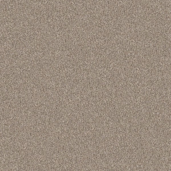 Home Decorators Collection River Rocks II - Pale Ecru - Beige 56.2 oz. SD Polyester Texture Installed Carpet