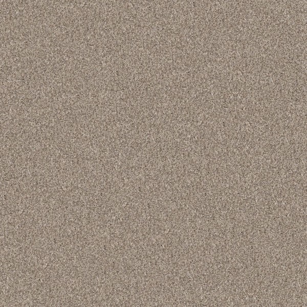 Home Decorators Collection River Rocks II - Pale Ecru - Beige 56.2 oz. SD Polyester Texture Carpet - Installation Required