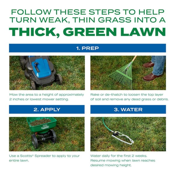 How to Thicken Thin Grass Areas in Lawn: Expert Tips & Tricks