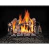 NAPOLEON 18 in. Vented Natural Gas Log Set with Electronic Ignition GL18NE  - The Home Depot