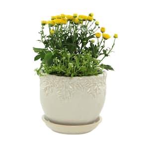 Ivy League 7.25 in. Small White Ceramic Planter with Saucer Decorative Pots