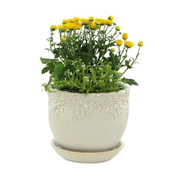 Paddock Home & Garden Ivy League 7.25 in. Small White Ceramic Planter with Saucer Decorative Pots