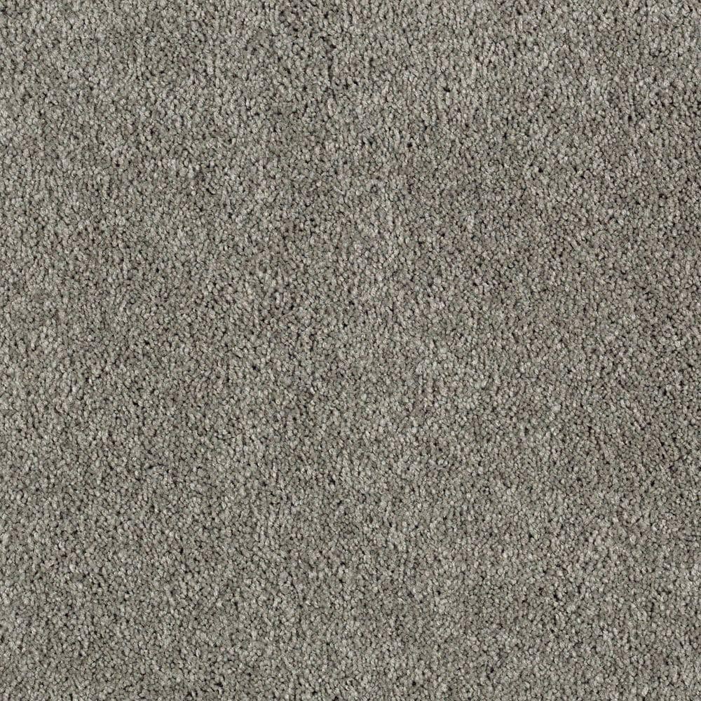 8 in. x 8 in. Texture Carpet Sample - Ambrosina I -Color Pinstripe price history on PriceWatchPro