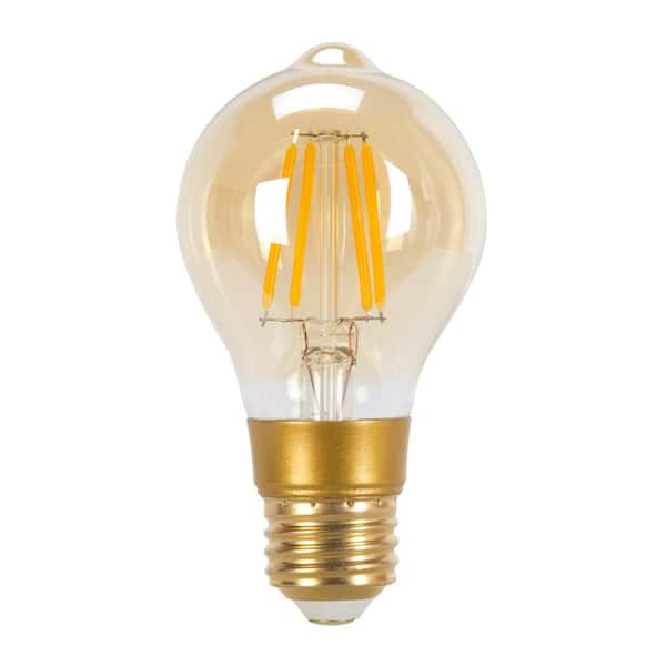 Globe Electric 60 Watt Equivalent A19 Dimmable Straight Filament Vintage Edison LED Light Bulb, Warm Candle Light