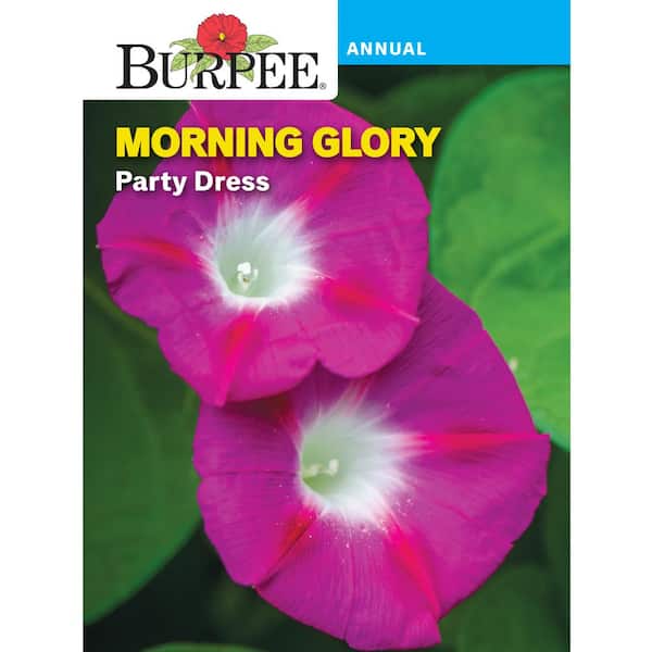Burpee Morning Glory Party Dress Seed