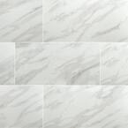 Strata 12 in. x 24 in. Matte Ceramic Floor and Wall Tile (16 sq. ft./Case)